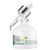 LJH (Leejiham) Tea Tree90 Essence - 50ml